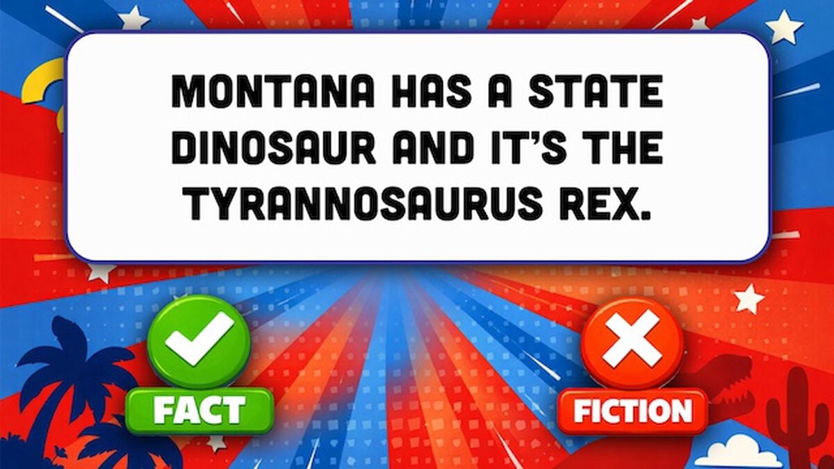 States: Fact or Fiction image number null